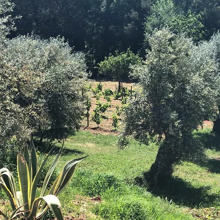 Casa Tord & Elisabeth * Rego da Murta